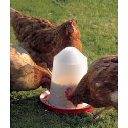 Aviary Feeder  Red/transparent 1 Litre 16.5x15cm