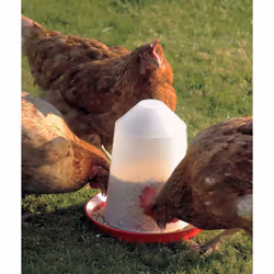 Aviary Feeder Red/transparent 3 Litre 22.5x27cm