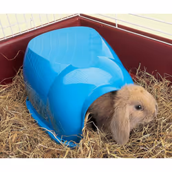 Cocoon Guinea Pig/dwarf Rabbit Home Assorted 34.5x26.5x16cm