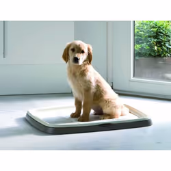 Savic Puppy Trainer Pads (30 pads) - Medium 45cm x 30cm