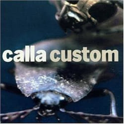 Alive AG custom (the remix project) CD Indie Calla