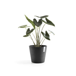 Ecopots Amsterdam Anthracite Plastic 1 pc(s)