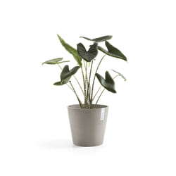 Ecopots Amsterdam Grey Plastic 1 pc(s)