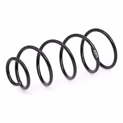 MONROE SE3391 Coil spring Coil spring with constant wire diameter CITROËN: C4 I Hatchback, C4 Coupe, PEUGEOT: 307 Hatchback