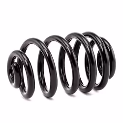 MONROE SN3619 Coil spring Coil spring with constant wire diameter BMW: X3