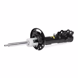 MONROE G8386 Shock absorber Gas Pressure Twin-Tube Suspension Strut Top pin, Bottom Clamp FORD: Ecosport Mk2