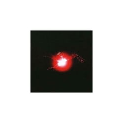 El-P  I039ll Sleep When You039re Dead CD (2007)
