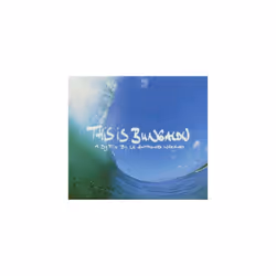 Le Hammond Inferno  This Is Bungalow Mixed By Le Hammond In CD - mixed by
