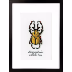Vervaco Golden Beetle Cross Stitch Kit