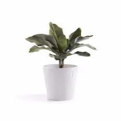 Ecopots Amsterdam, White, Plastic, 40 cm, 250 mm, 3.9 kg, 1 pc(s)