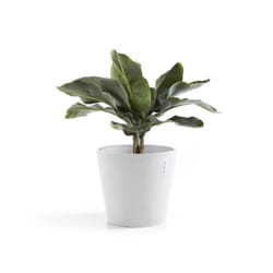 Ecopots Amsterdam White Plastic 1 pc(s)