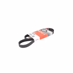 5PK1148 Micro-V Xf Ribbed V-Belt