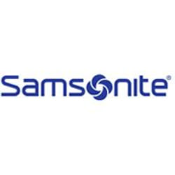 Samsonite Guardit 43.9 cm (17.3") Backpack Blue