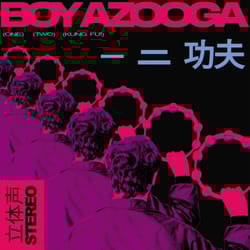 ImportCDs 1, 2, Kung Fu! Vinyl Pop rock