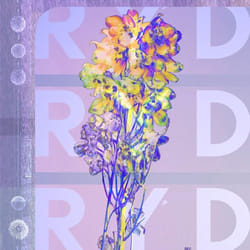 ImportCDs Ryd CD Pop rock