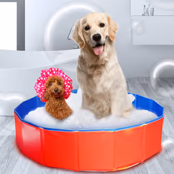Dog Puppy Cat Foldable Water Play Bathing Wash Tub Non-slip Pet Swimming Pool - Red, 80*20cm