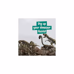 Dinosaur Fossil Excavation Kit 4 in 1 - Fossil Digging Kit for Kids, Build 4 Dinosaur Fossils, 46 pieces, Archeology Set, Dinosaur Toys, Games, Gifts