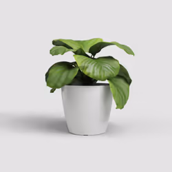 Artevasi San Remo Pot White 2 pc(s)