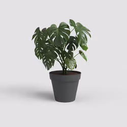 Artevasi Capri Pot Anthracite 12 pc(s) - Additional view 2