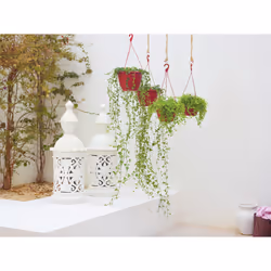 Artevasi Algarve Hanging Basket Anthracite 5 pc(s) - Additional view 6
