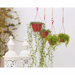 Artevasi Algarve Hanging Basket Anthracite 5 pc(s) - Additional view 7