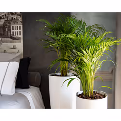 Artevasi Santorini Pot Anthracite 4 pc(s)
