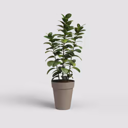 Artevasi Capri High Pot 2 pc(s)
