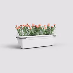 Artevasi Venezia Water Reserve Plant Box Kit White 6 pc(s)
