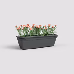 Artevasi Venezia Water Reserve Plant Box Kit Anthracite 6 pc(s)