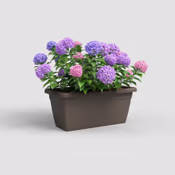 Artevasi Venezia Xl Plant Box 2 pc(s)