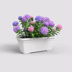 Artevasi Venezia L Plant Box Sws White 4 pc(s)