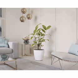 Artevasi San Remo Pot White 4 pc(s) - Additional view 6