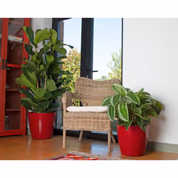 Artevasi San Remo Pot White 4 pc(s) - Additional view 7