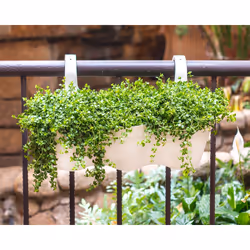 Artevasi Capri Balcony Triple Pot Anthracite 4 pc(s) - Additional view 6