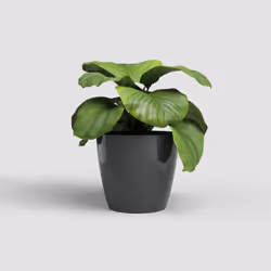 Artevasi San Remo Pot Anthracite 2 pc(s)