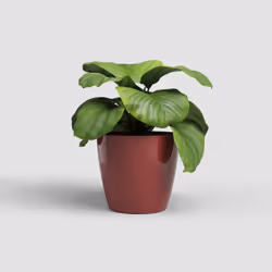 Artevasi San Remo Pot Red 2 pc(s)