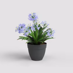 Artevasi Capri Campana Pot Anthracite 6 pc(s)