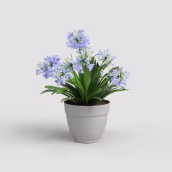 Artevasi Capri Campana Pot Grey 6 pc(s)