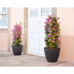 Artevasi Capri Campana Pot Grey 6 pc(s) - Additional view 6