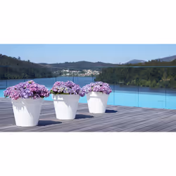 Artevasi Capri Pot Grey 12 pc(s)