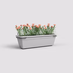 Artevasi Venezia Water Reserve Plant Box Kit Grey 6 pc(s)