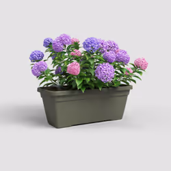 Artevasi Venezia L Plant Box Sws Green 4 pc(s)