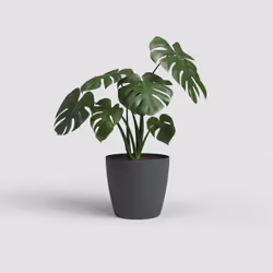 Artevasi San Remo Pot Matte Anthracite 6 pc(s)