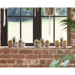 Artevasi San Remo Pot Matte Anthracite 6 pc(s) - Additional view 6