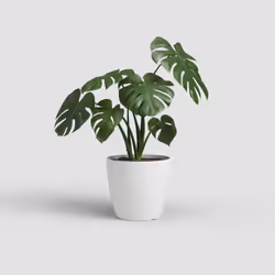 Artevasi San Remo Pot Matte White 6 pc(s)