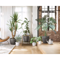 Artevasi San Remo Pot Matte White 6 pc(s)
