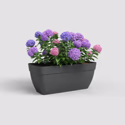 Artevasi Capri Campana Plant Box Xl Anthracite 2 pc(s)