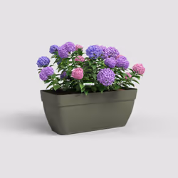 Artevasi Capri Campana Plant Box Xl Green 2 pc(s)