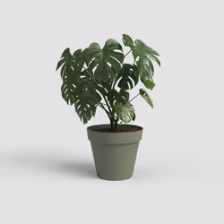 Artevasi Capri Pot Green 12 pc(s)