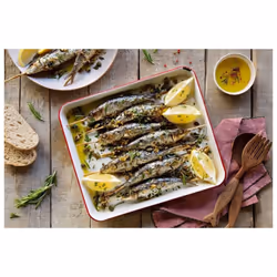 Portuguese Sardines Gallo in Tomato and Extra Virgin Olive  4x 120g